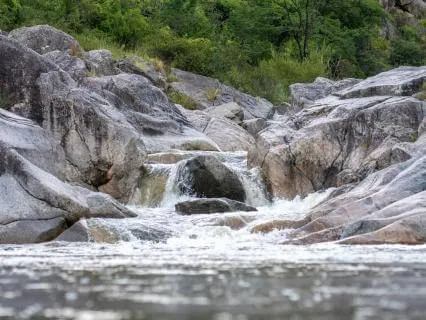 Tranquil Stream 10 minutes