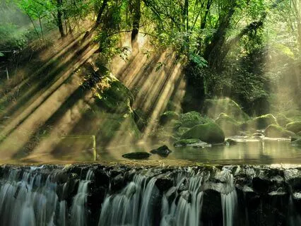 Tranquil Streams: Relaxing Water Sounds & Soothing Music