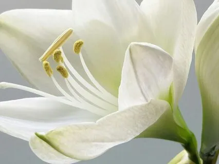 Tranquil Sunlight — Gentle Guitar For Deep Relaxation