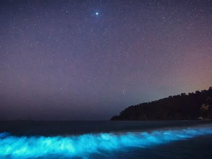 Tranquil Tides: Soothe Anxiety, Embrace Sleep