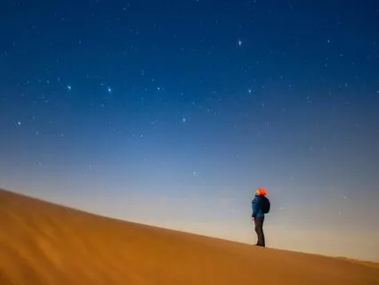 Tranquil Twilight: Soothing Music for Sleep and Renewal