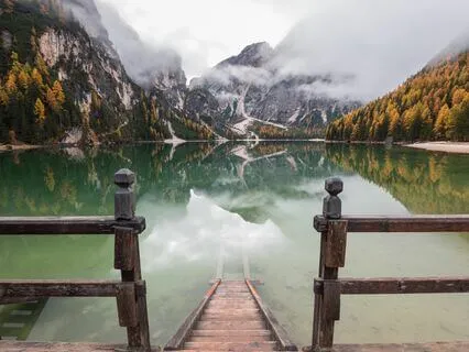 Tranquil Vibes: Find Calm Amidst Chaos