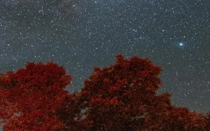 Tranquility - Calming - Soothing