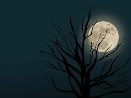 Tranquility Meditation With 174 Hz