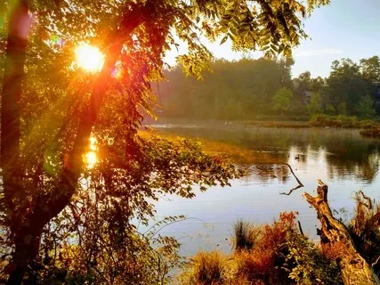 "Tranquility" - Melodic Sound Meditation With Crystal Bowls
