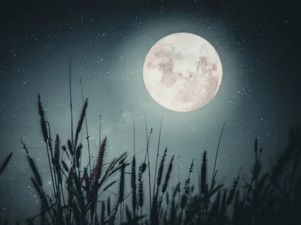 Tranquility (Piano Music With Light Wind Ambience)