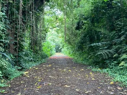 Tranquility Through Transition