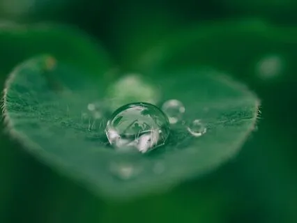 Tranquilo ~ Yoga Nidra Meditation