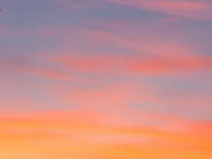 Transcendent Joy | Jewish Meditation & Torah: Parshat Re'eh