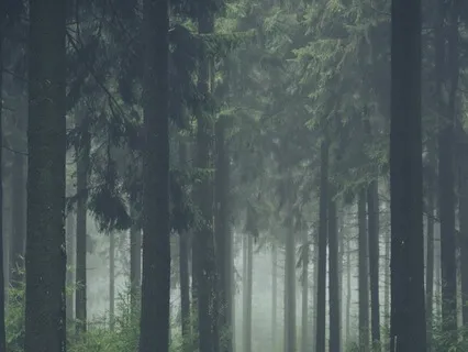 Transcendent Serenity: A Journey to Inner Bliss