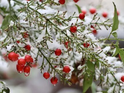 Transcendent Shift Sequence