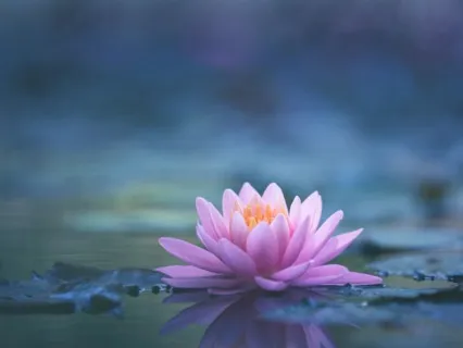 Transcending (In)Fertility Series: Radical Self-Compassion