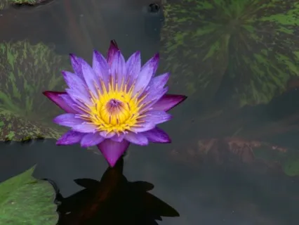 Transcending Infertility Series: Being Myself