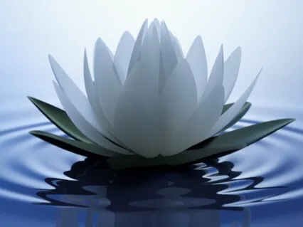 Transcending Infertility Series: Quiet The Desperation