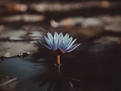 Transcending Negativity – Unraveling Shaltazar