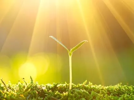 Transcending Our Egos – Freeing Our Souls