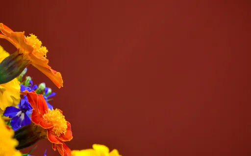 Transcending The Ego