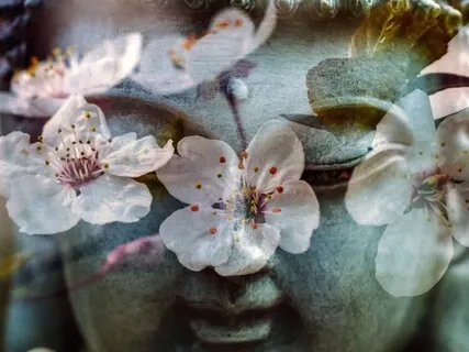 Transform Any Problem With This Emotional Release Meditation