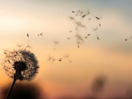 Transform Negative Habits With Positive Energy 