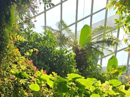 Transform Negative Thoughts With Heart-Centered Awareness