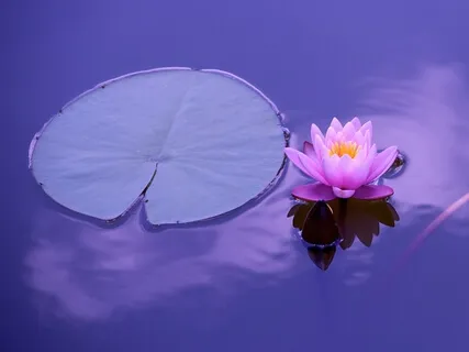 Transform Pain Into Power