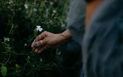 Transform Suffering With Compassion