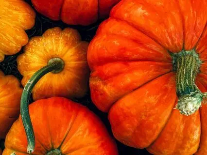 Transform Your Fall With Gratitude