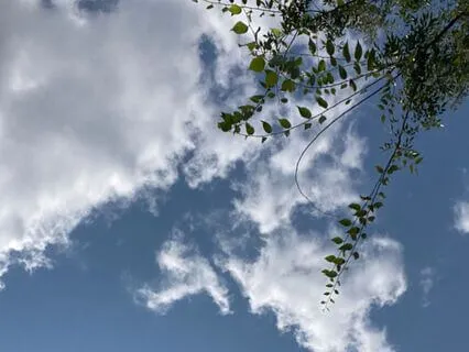 Transform Your Life Meditation