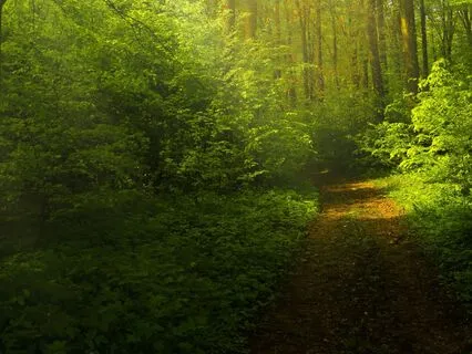 Transform Your Life With Healthy Boundaries: Self-Awareness