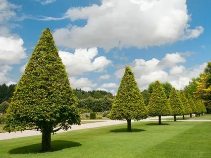 Transform Your Life with Nikola Tesla's 369 Tuning Forks