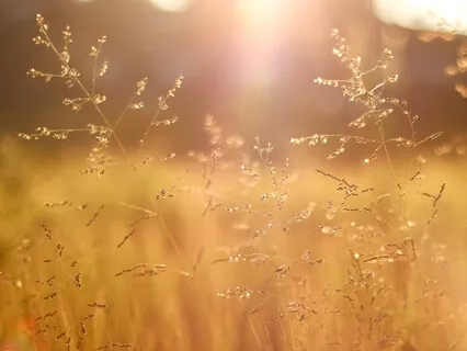 Transform Your Negative Experiences Daily