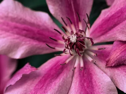 Transform Your Shadow Side