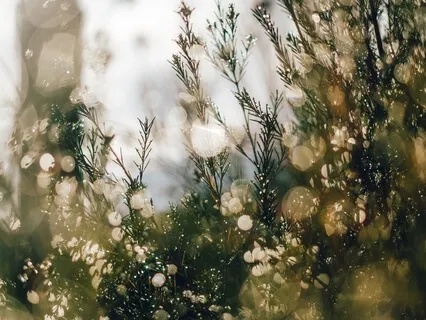 Transformaties (Part 2)