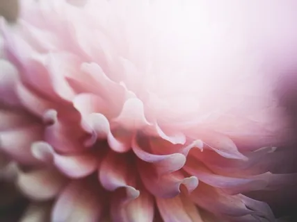 Transformation (27th Of December)