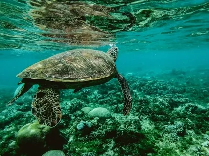 Transformation And Miracle 888Hz + 88Hz