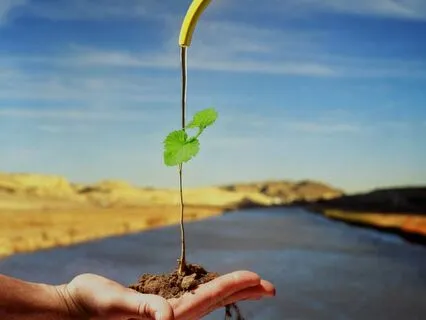 Transformation And Miracles