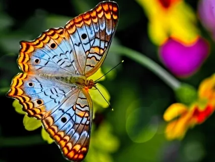 Transformation Begins