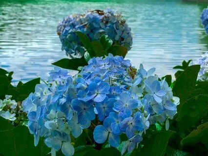 Transformation & Divine Downloads