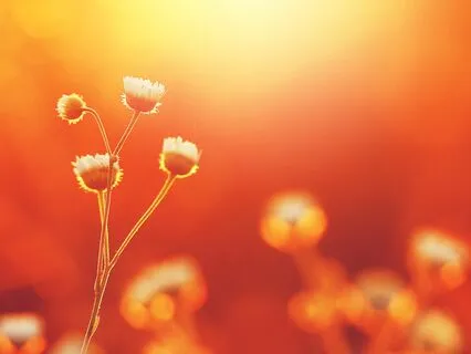 Transformation In A Second - Meditation