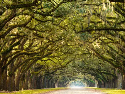 Transformation (Kalika Gayatri)