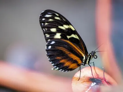 Sleep Meditation For Personal Transformation