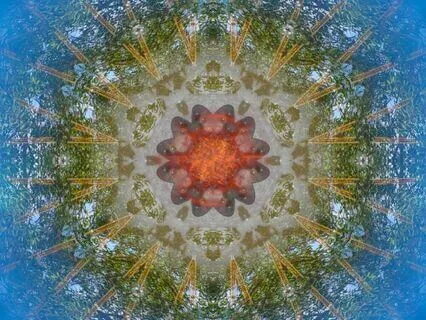 Transformation: Shamanic Journeying- One Hour