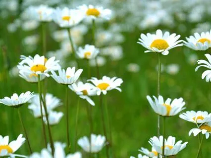 Transformation Through D.A.T.H.