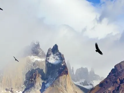 Transformation Through Flight