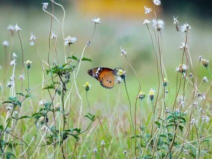 Transformation | Time-Friendly Affirmations