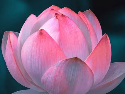 Transformative Healing Sleep Music For Self-Worthiness