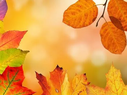 Transformative Reflective Meditation