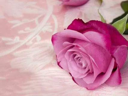 Transformative Self Love Subliminal Audio