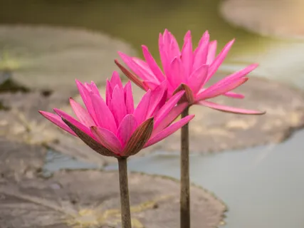 Transforming A Situation Meditation