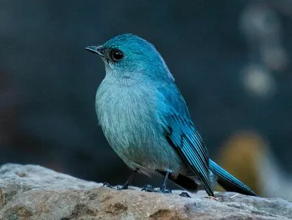 Transforming Anger: A Guaranteed Path To Freedom In 21 Days